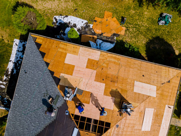 Best Roof Gutter Cleaning  in Mila Doce, TX